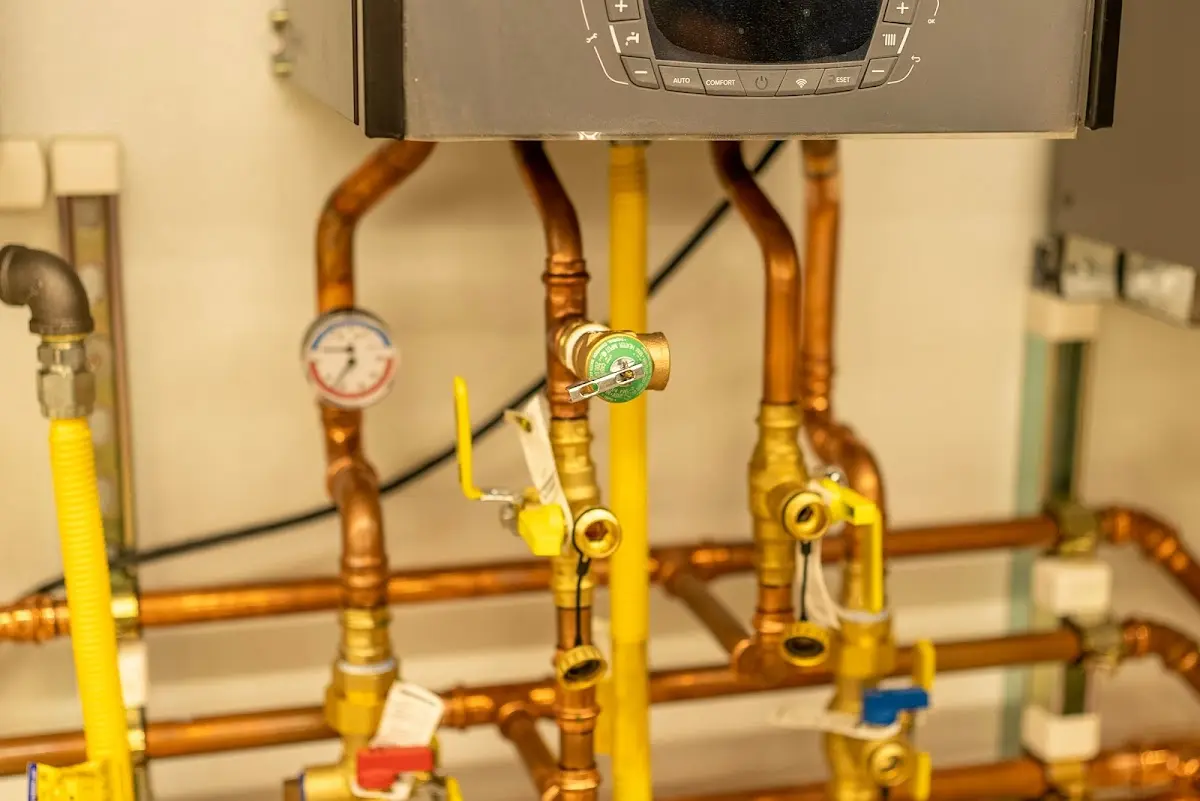 Licensed technician providing Emergency Plumbing for a homeowner in Coronado